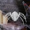 Halloween Spider Skeleton Plastic Skeleton Animal Model Decoration Realistic Spider Bone Figure For Walls Doors Windows